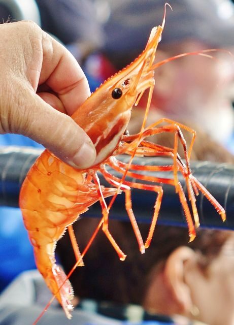 Bering Sea Crab Fishermen's Tour - Frequently Asked Questions