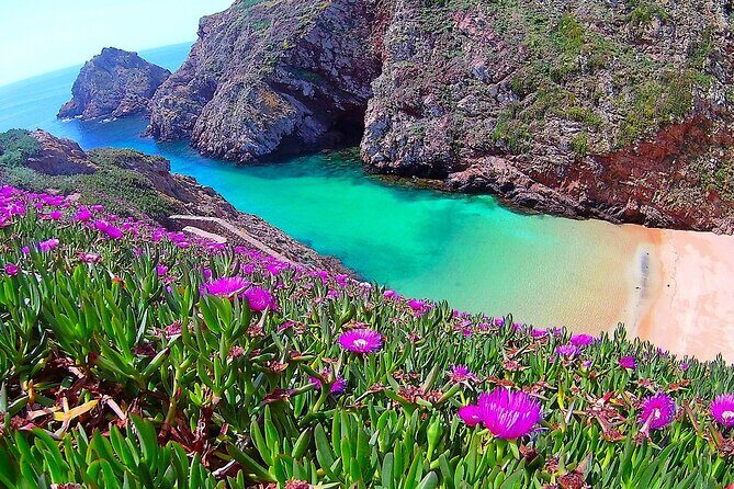 Berlengas Island Catamaran Tour - Round Trip - Key Points