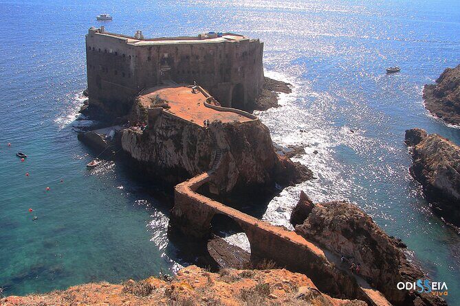 Berlengas Island Catamaran Tour - Round Trip - Experience Quality: What Do Travelers Say?