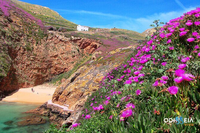 Berlengas Island Catamaran Tour - Round Trip - What to Pack and Prepare