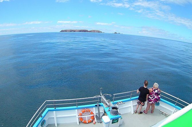 Berlengas Island Catamaran Tour - Round Trip - Who Should Consider This Tour?