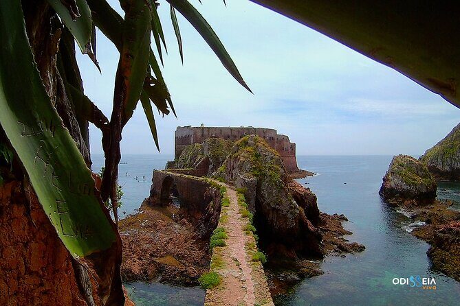 Berlengas Island Catamaran Tour - Round Trip - Final Thoughts: Is This Tour Worth It?