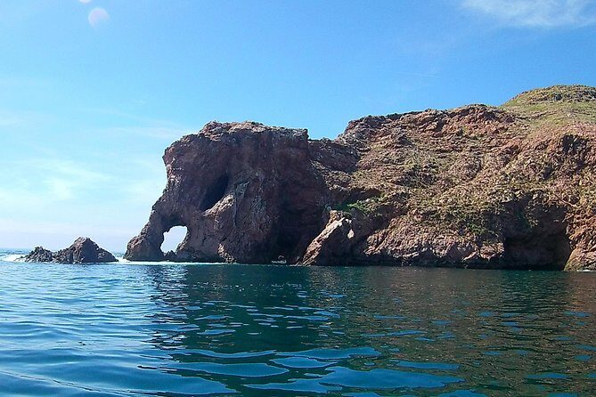 Berlengas Island Catamaran Tour - Round Trip - FAQs