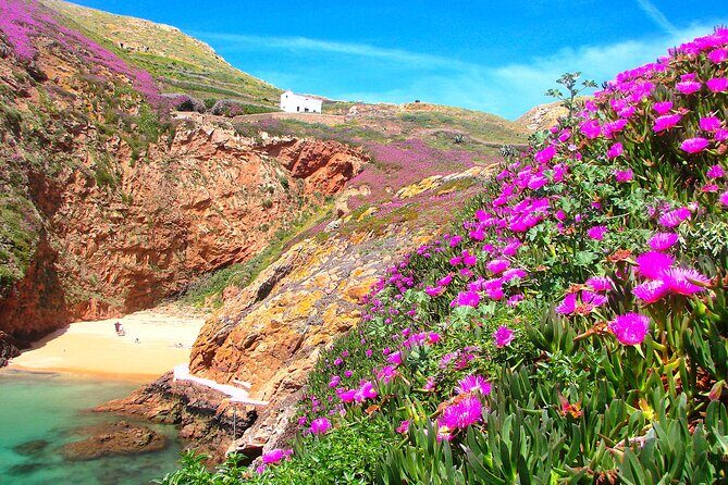 Berlengas Island Catamaran Tour + Snorkeling - The Sum Up