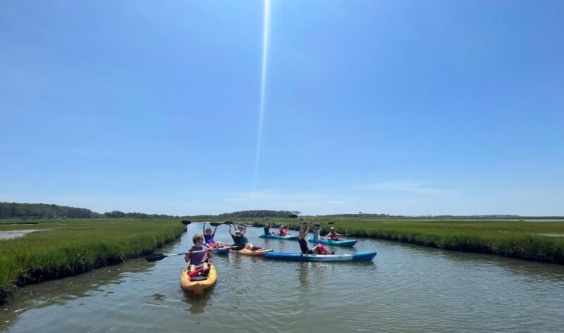 Berlin: Assateague Island Wildlife Discovery Kayak Tour - An In-Depth Look at the Assateague Island Wildlife Discovery Kayak Tour
