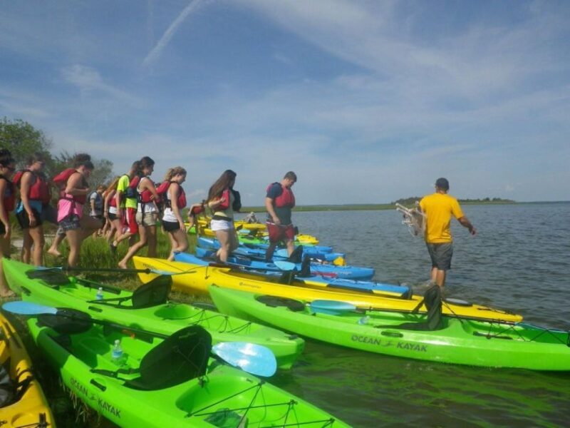 Berlin: Assateague Island Wildlife Discovery Kayak Tour - Who Should Consider This Tour?