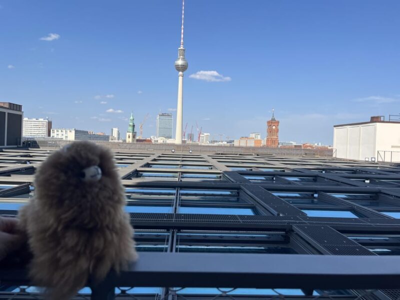 Berlin: Cold War Private Walking Tour - Key Points