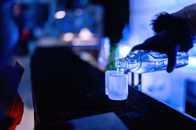 Berlin Combo: Hop-On-Hop-Off Bus and Icebar Ticket - Who Will Enjoy This Tour?