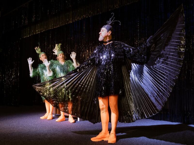 Berlin: DISTEL - The capital cabaret - Frequently Asked Questions