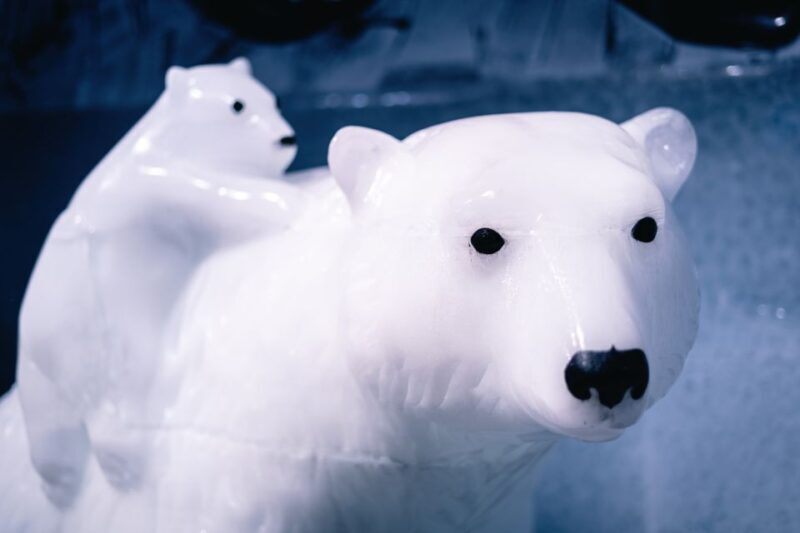 Berlin: Icebar Entrance with Complimentary Drinks - FAQ