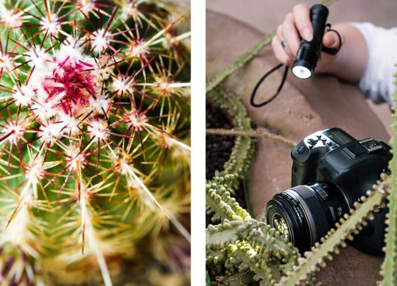Berlin: Macro photography course - Nature in detail - What You Can Expect from the Berlin Macro Photography Course