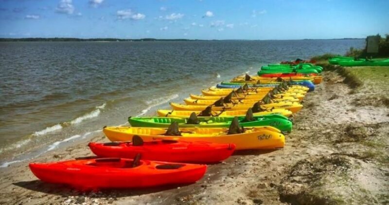 Berlin, MD: Full-, Half, or Quarter-Day Kayak Rental - Authentic Wildlife Encounters and Natural Beauty