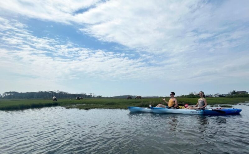 Berlin, MD: Full-, Half, or Quarter-Day Kayak Rental - Practical Details and Logistics