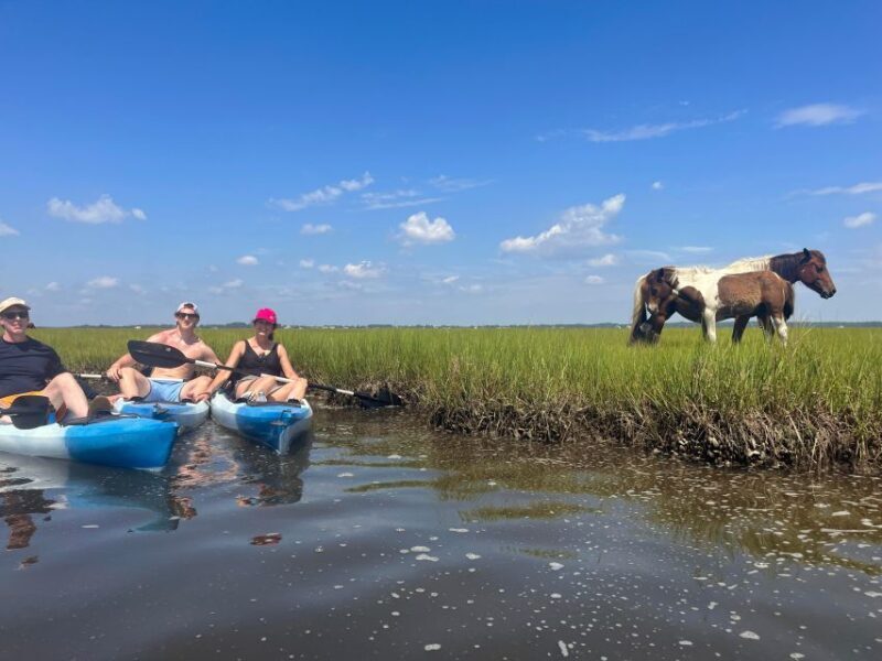 Berlin, MD: Full-, Half, or Quarter-Day Kayak Rental - The Sum Up
