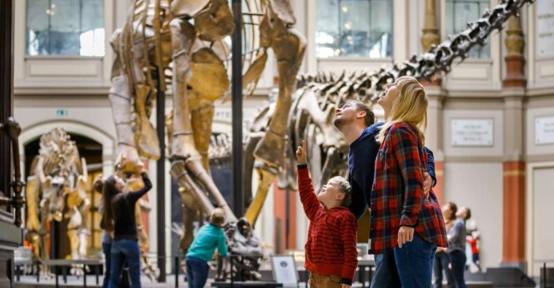 Berlin: Natural History Museum Entrance Ticket - Key Points