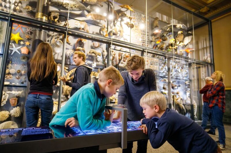 Berlin: Natural History Museum Entrance Ticket - FAQ