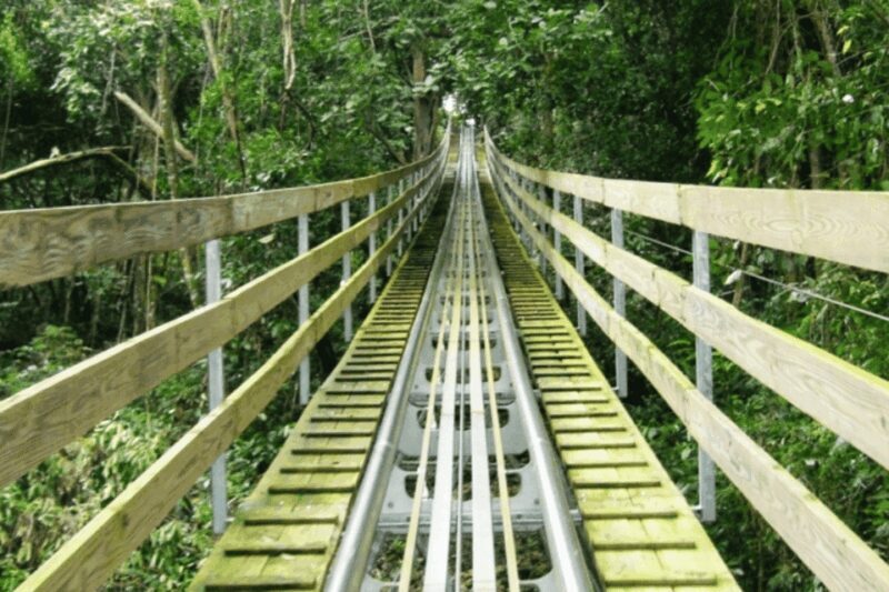 Berlin: Nature Bobsled Run Ticket - The Sum Up: Who Should Consider This Experience?