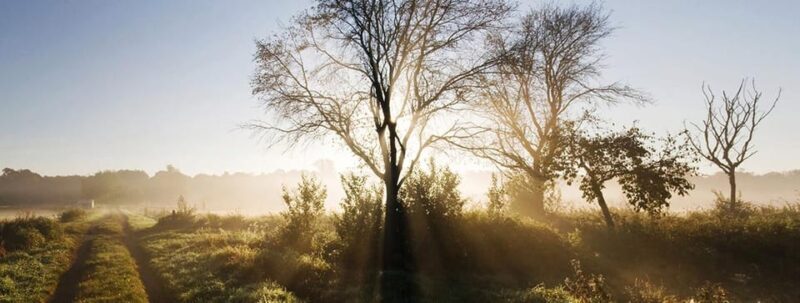Berlin: Photo course Landschafts- & Naturfotografie - Final Thoughts