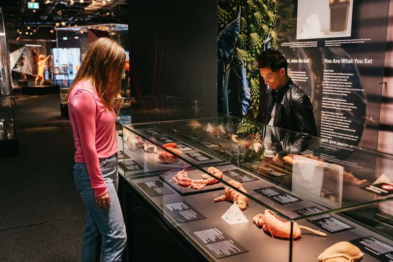 Berlin: Tickets for the BODY WORLDS Museum in Berlin - The Experience: What’s Inside the BODY WORLDS Museum?