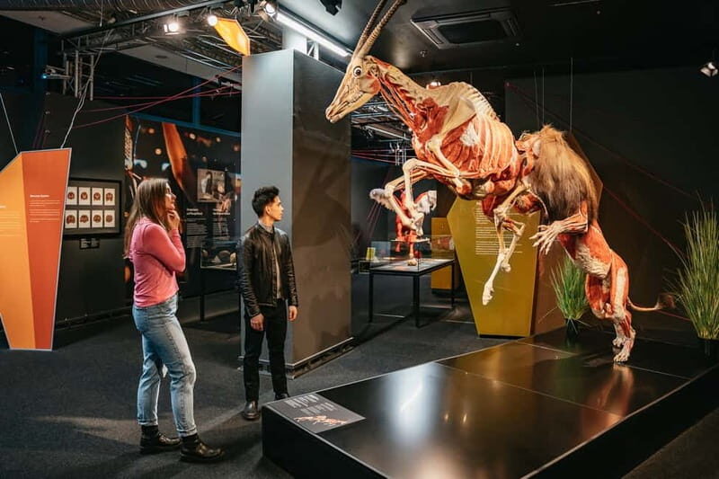 Berlin: Tickets for the BODY WORLDS Museum in Berlin - Authentic Feedback and Honest Opinions