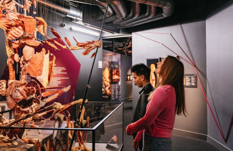 Berlin: Tickets for the BODY WORLDS Museum in Berlin - Frequently Asked Questions