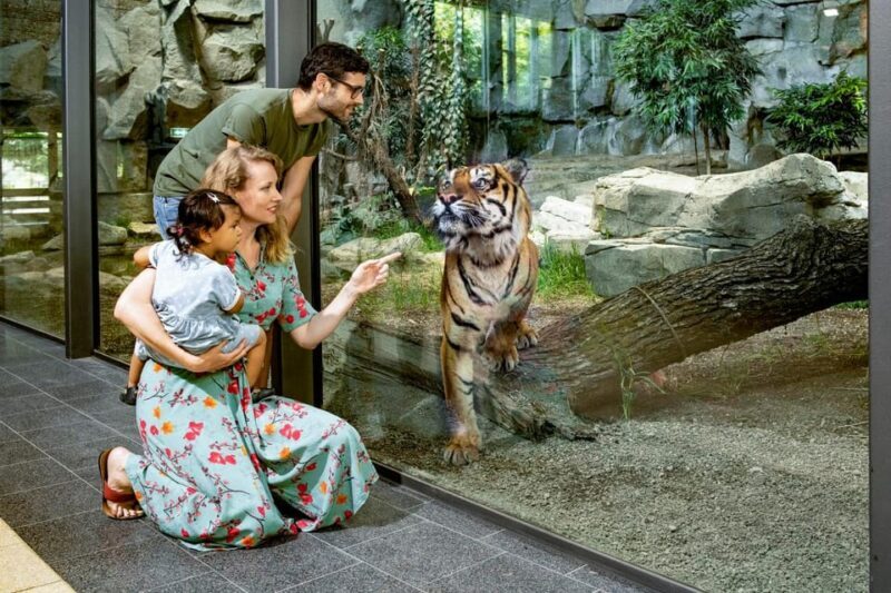 Berlin: Tickets for the Tierpark in East Berlin - Key Points