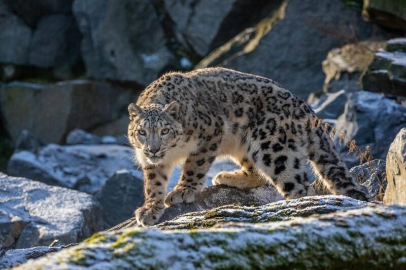 Berlin: Tickets for the Tierpark in East Berlin - FAQ