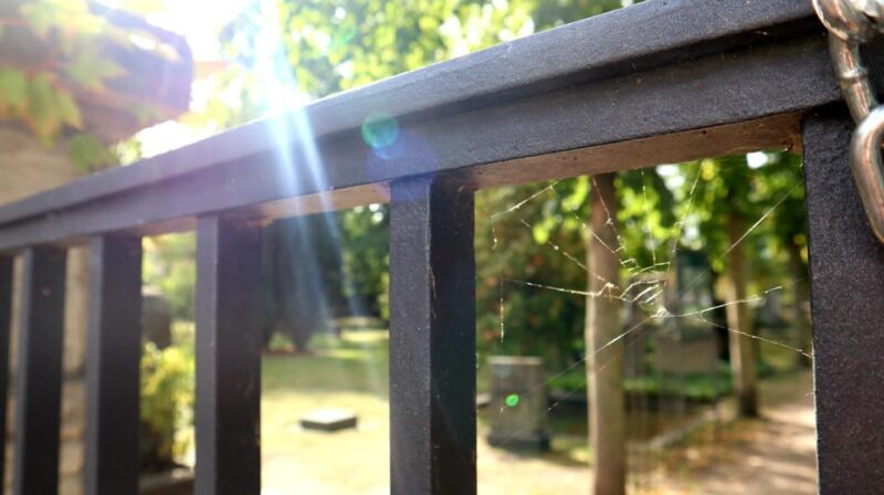 Berlin: Tour through the Invalids' Cemetery - FAQ