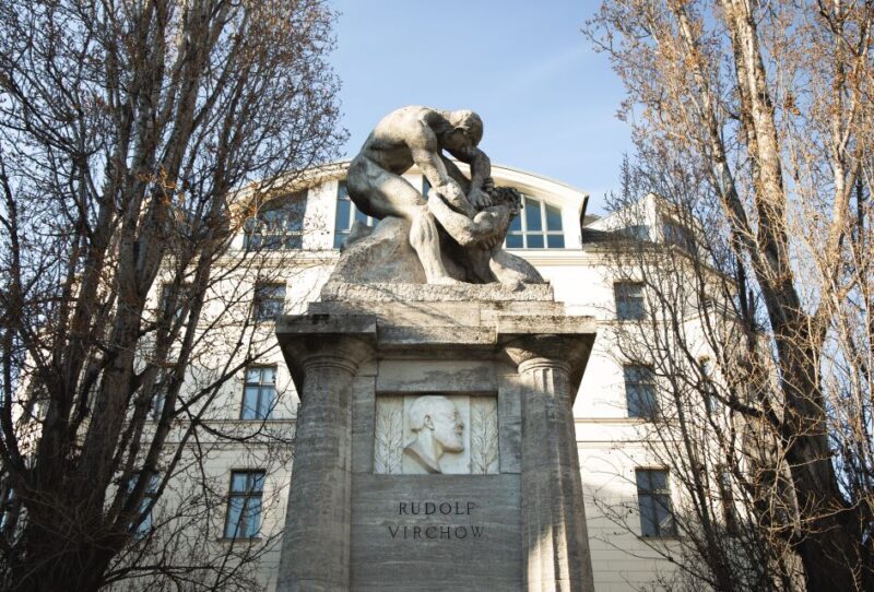 Berlin: walking tour about Charité - Who Will Love This Tour?