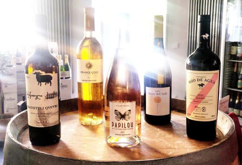 Berlin: Wine Tasting Session with Paired Snacks - Final Thoughts