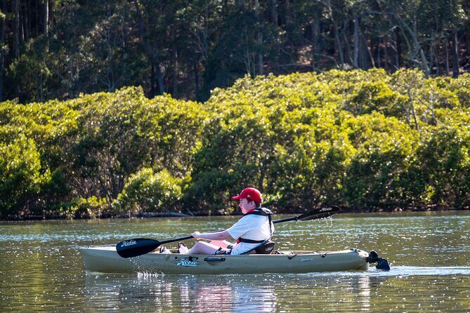 Bermagui River Kayak Tour - An In-Depth Look at the Bermagui River Kayak Tour