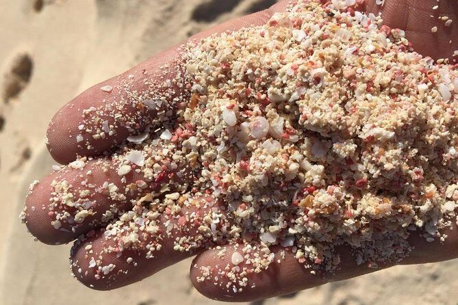 Bermuda Gems and Private Resort Beach Day Experience - Bermuda Gems and Private Resort Beach Day Experience: A Detailed Review