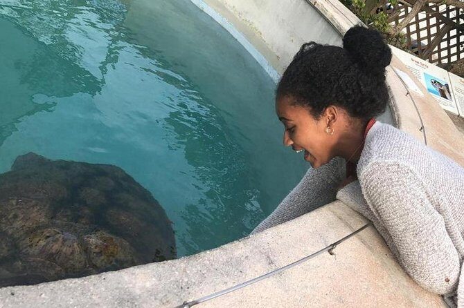 Bermuda Gems and Private Resort Beach Day Experience - Practical Details & Tips