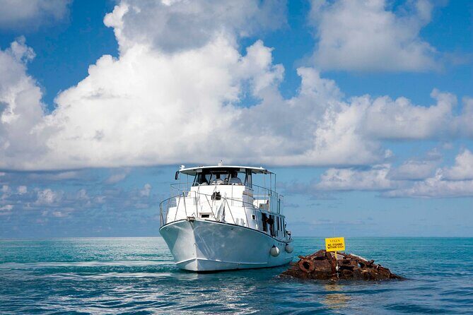 Bermuda Glass Bottom Boat Cruise - Who Should Consider This Tour?