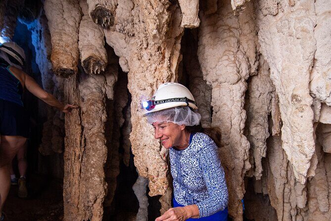 Bermuda Hidden Gems Half-Day Winter Excursion - A Deep Dive Into Bermuda’s Hidden Gems: The Itinerary Explored