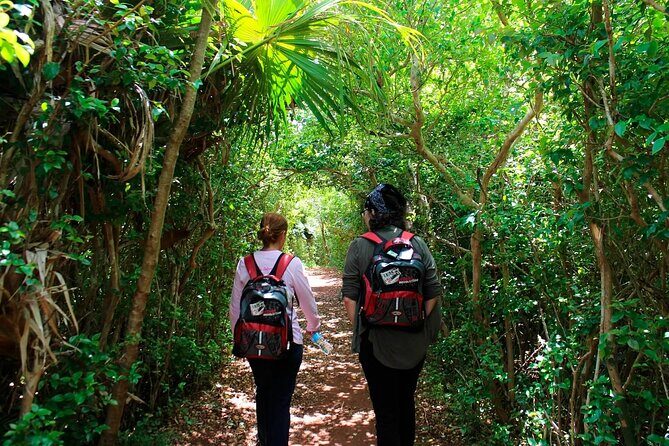 Bermuda Hidden Gems Summer Excursion - The Sum Up: Why This Tour is a True Bermuda Hidden Gem