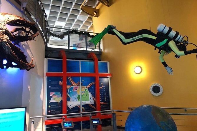 Bermuda Underwater Exploration Institute and Aquarium Adventure Day - Practical Details and Tips