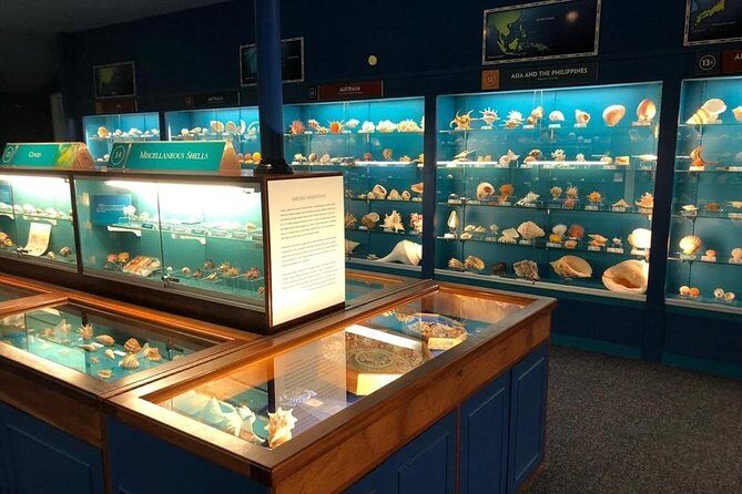 Bermuda Underwater Exploration Institute and Aquarium Adventure Day - Frequently Asked Questions