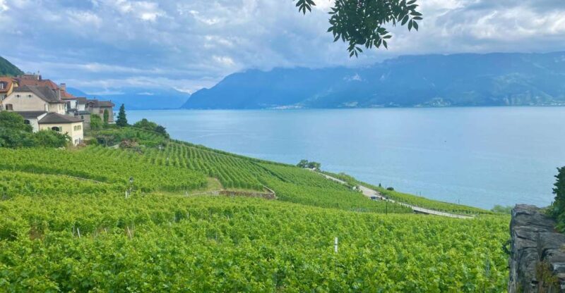 Bern: Gruyères & Lavaux Vineyard Day Trip with Cheese & Wine - What Does the Tour Deliver?