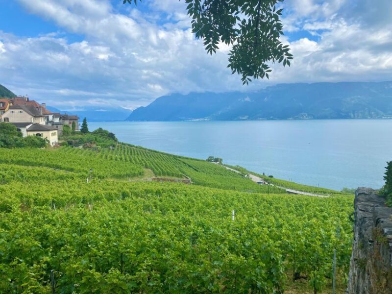 Bern: Gruyères & Lavaux Vineyard Day Trip with Cheese & Wine - FAQ