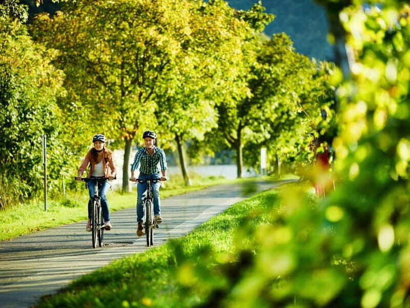 Bernkastel-Kues, Moselle: Bicycle picnic boat tour with wine tasting - Key Points