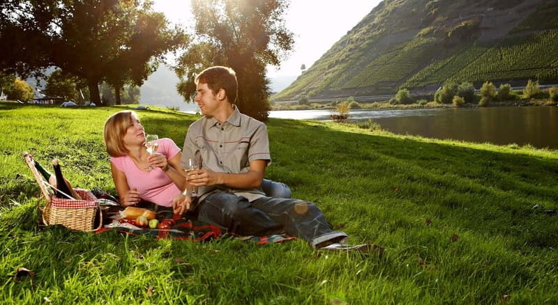 Bernkastel-Kues, Moselle: Bicycle picnic boat tour with wine tasting - An In-Depth Look at the Tour