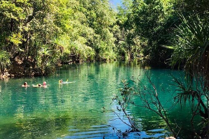 Berry Springs + Crocodile Cruise - In-Depth Review of the Berry Springs + Crocodile Cruise Tour