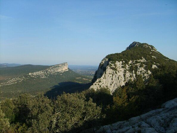 Bertrand Bosc wine and food tour in Pic St Loup - The Complete Review