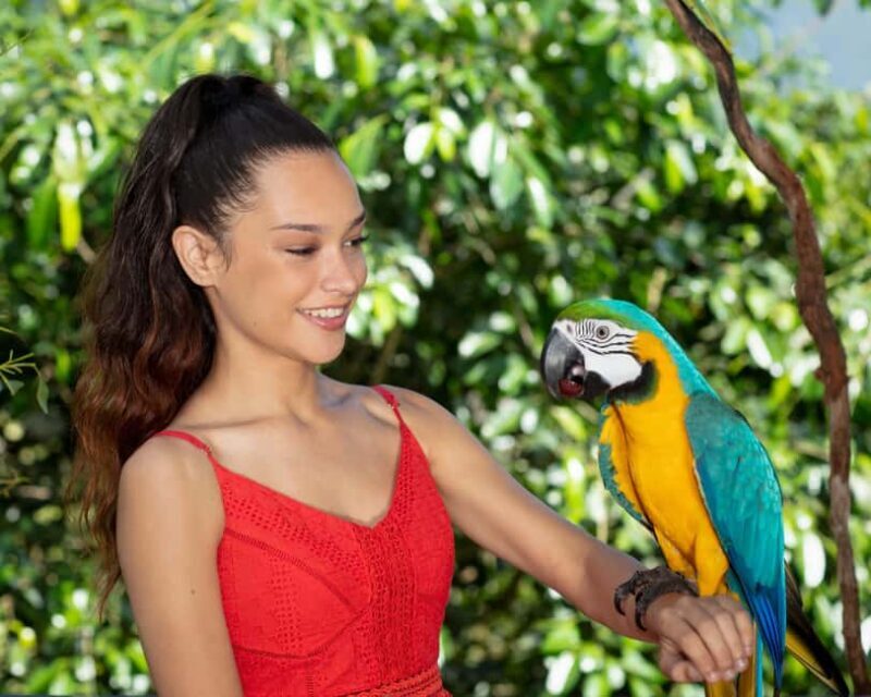 Bespoke Birdworld - An Intimate Experience! - Interacting with Friendly Parrots and Lorikeets