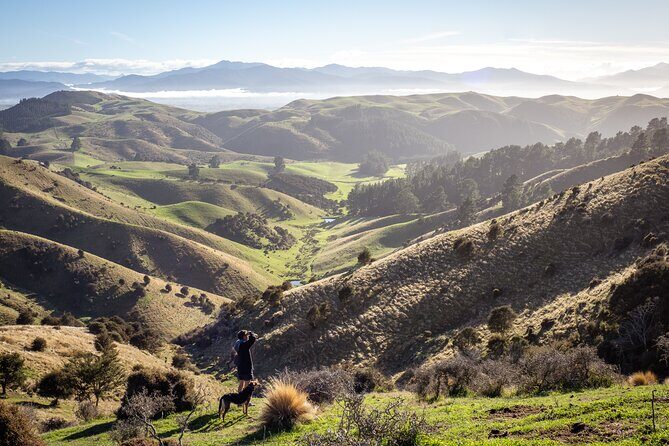 Bespoke Guided High Country Hiking - Exploring Marlborough’s Wilderness: A Guided High-Country Hike