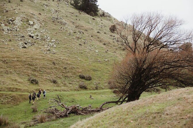 Bespoke Guided High Country Hiking - In The Sum Up
