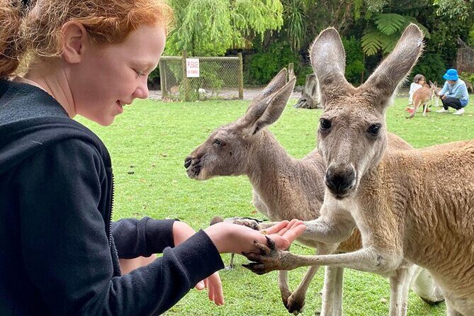 Bespoke Perth City and Surrounds Day Tour - Key Points