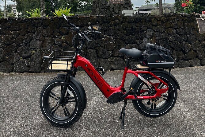 "Bespoke" Private E-Bike Tour Volcano and Waterfalls - Who Should Consider This Tour?