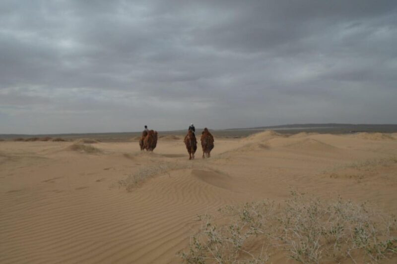 Best 6-Day Gobi Tour Discover Mongolia - The Sum Up